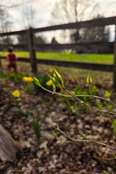 Simple Spring Reset For Busy Moms Who Want A Fresh Start