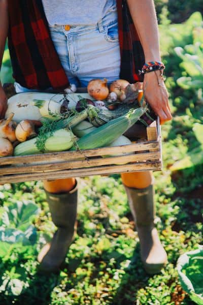 how to go on vacation with a farm business header image